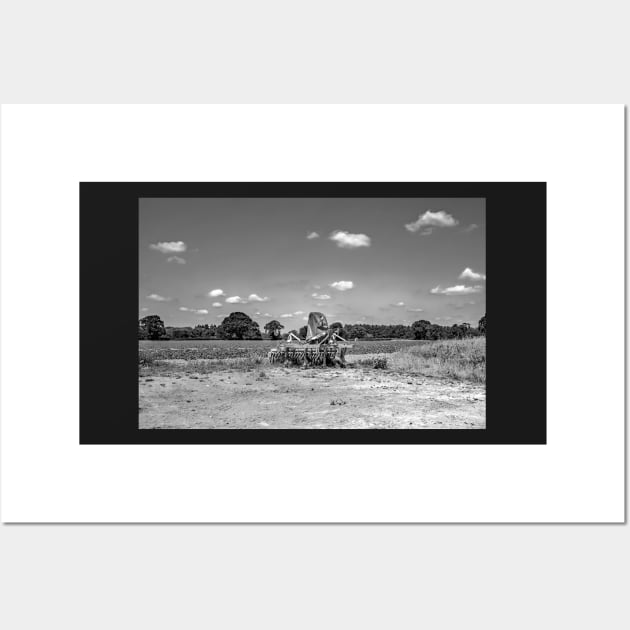 Norfolk plow in an arable field Wall Art by yackers1